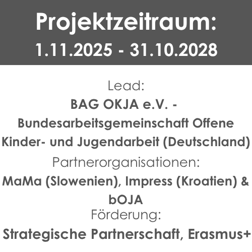 Informationen zu Partnerorganisationen, Projektzeitraum und Förderung